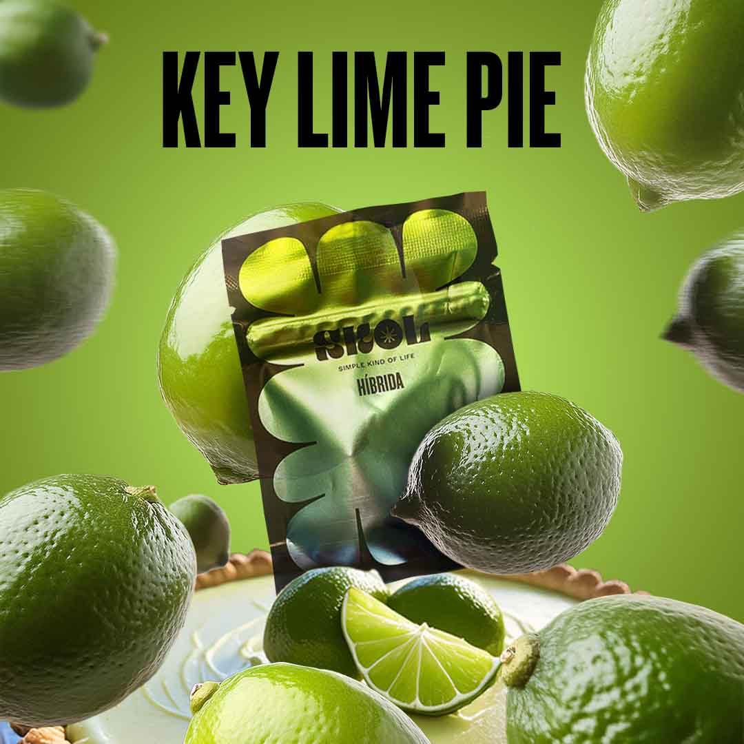 key lime pie skol