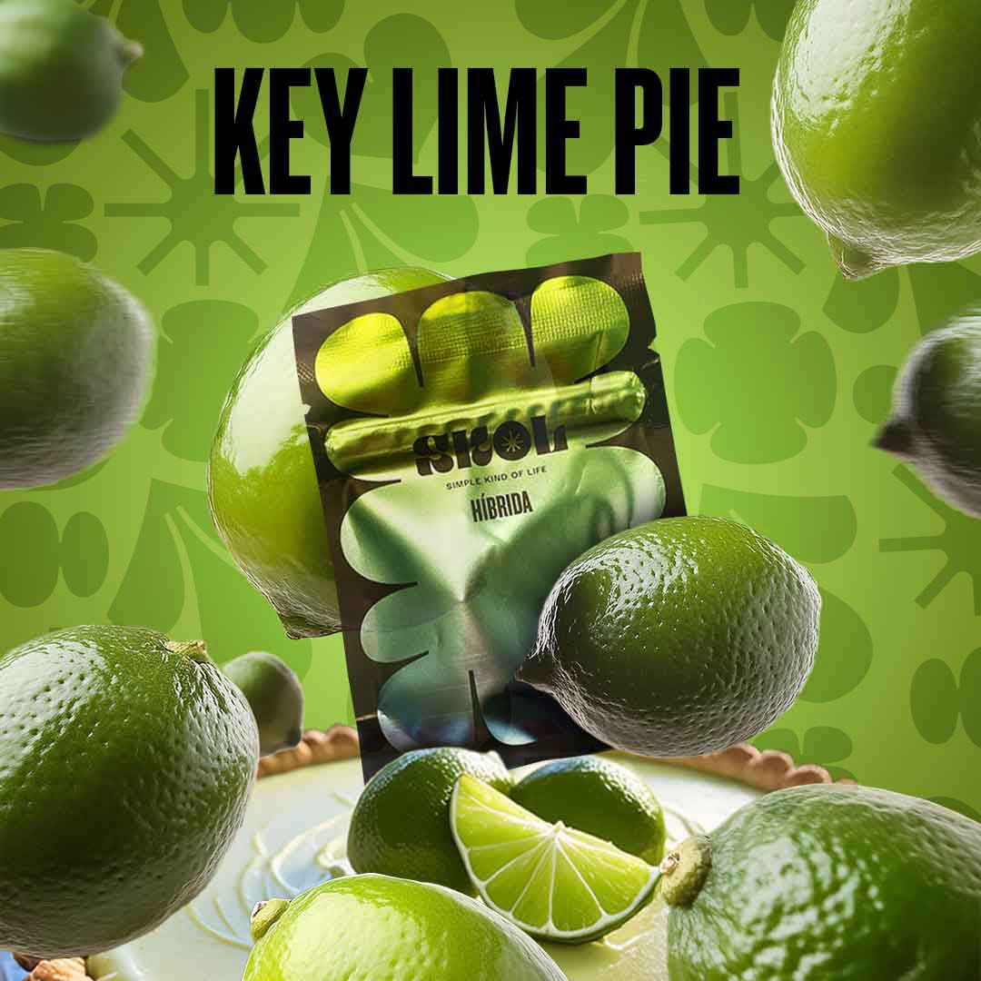 key lime pie skol copy