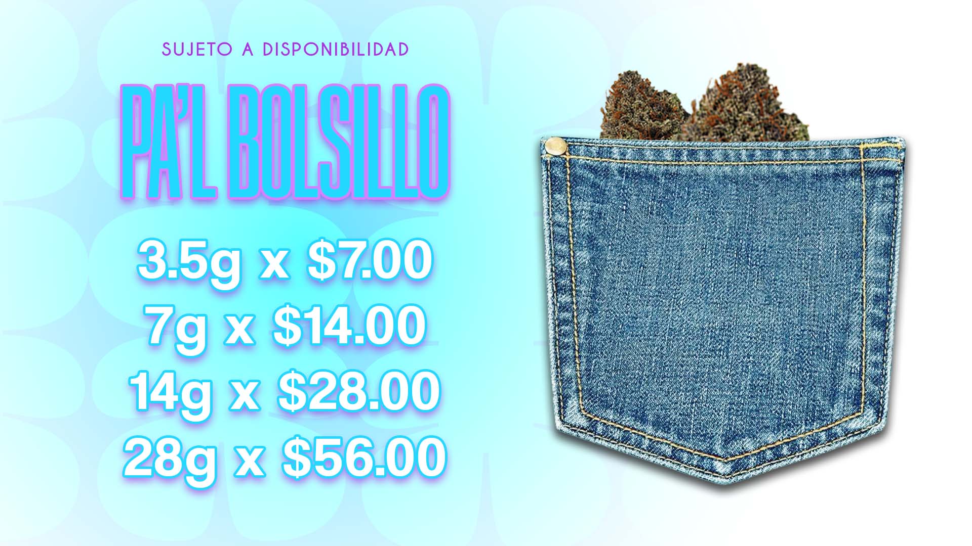 bolsillo web agosto