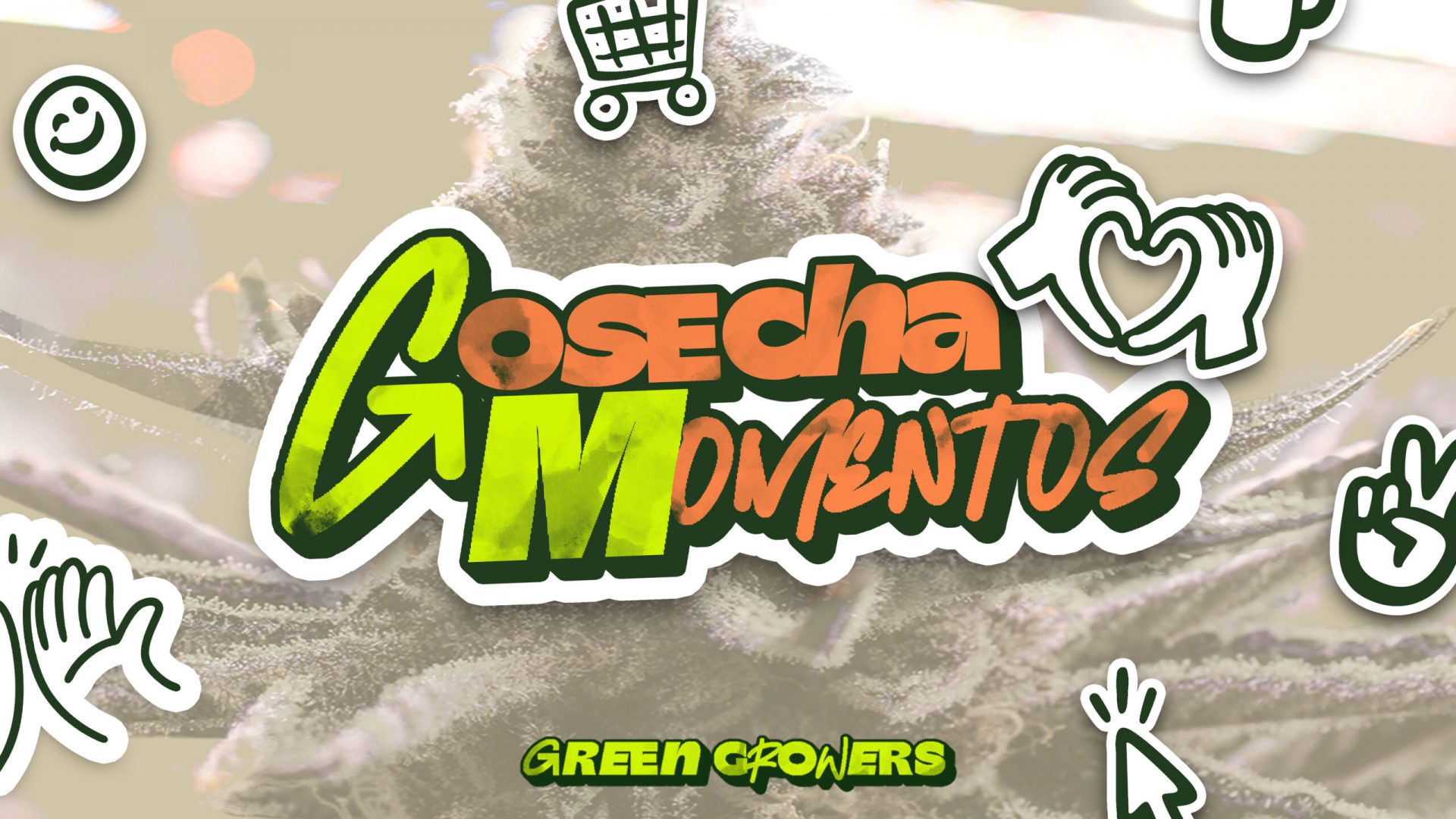 Cosecha Momentos slide