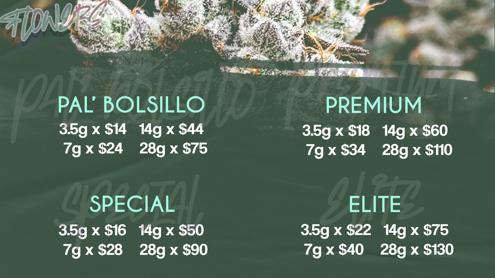 PRICELINE gg web