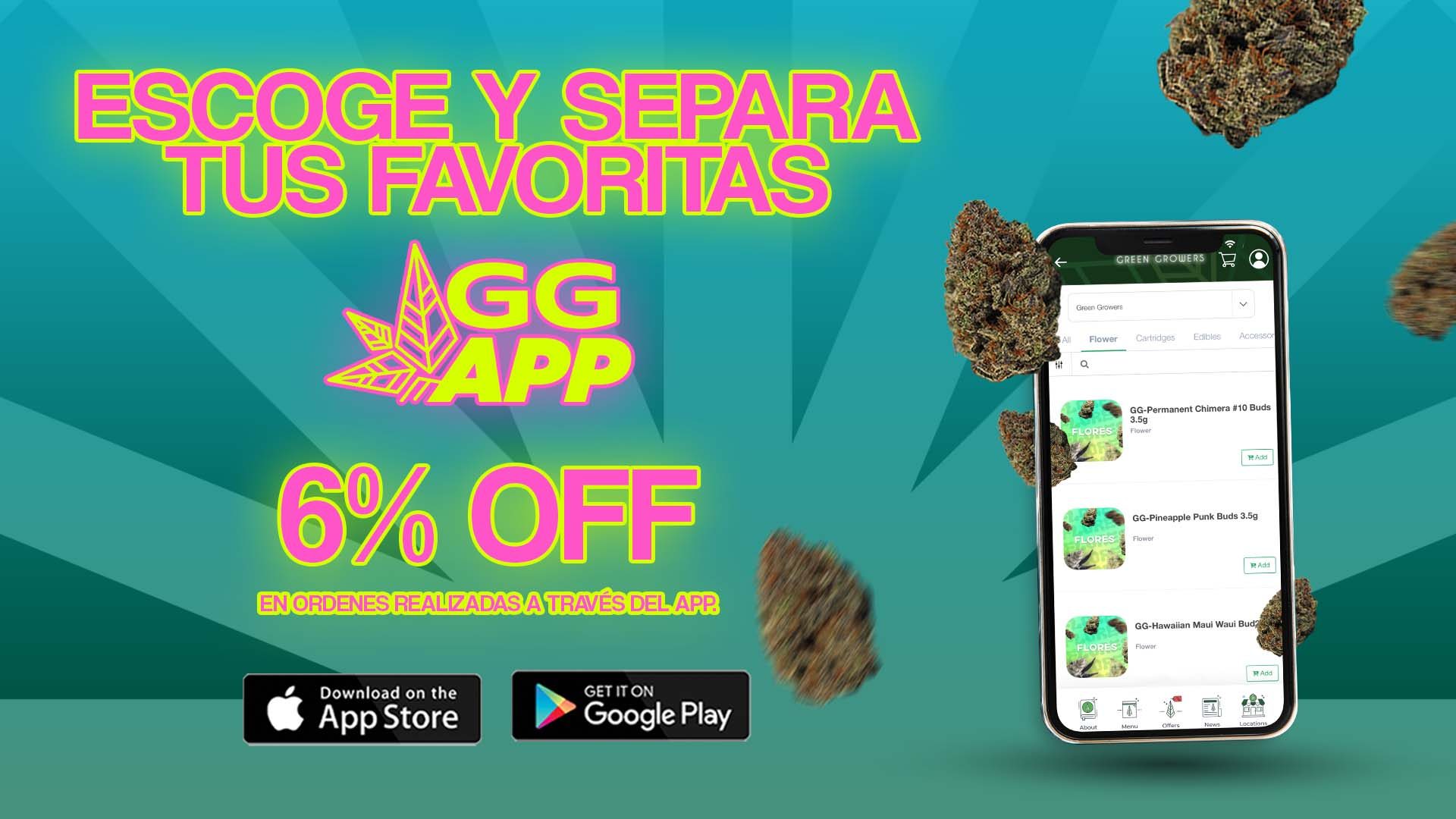 app web agosto