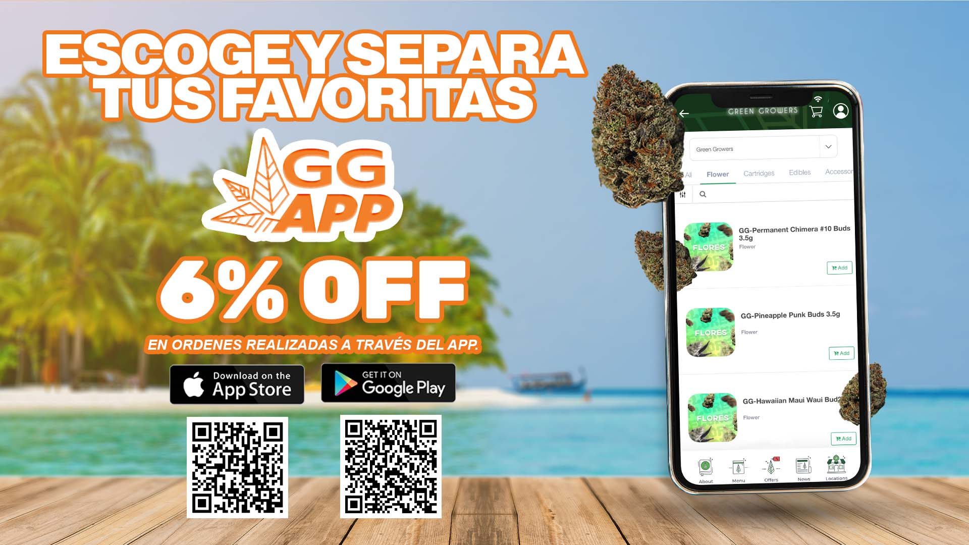 app web verano 26