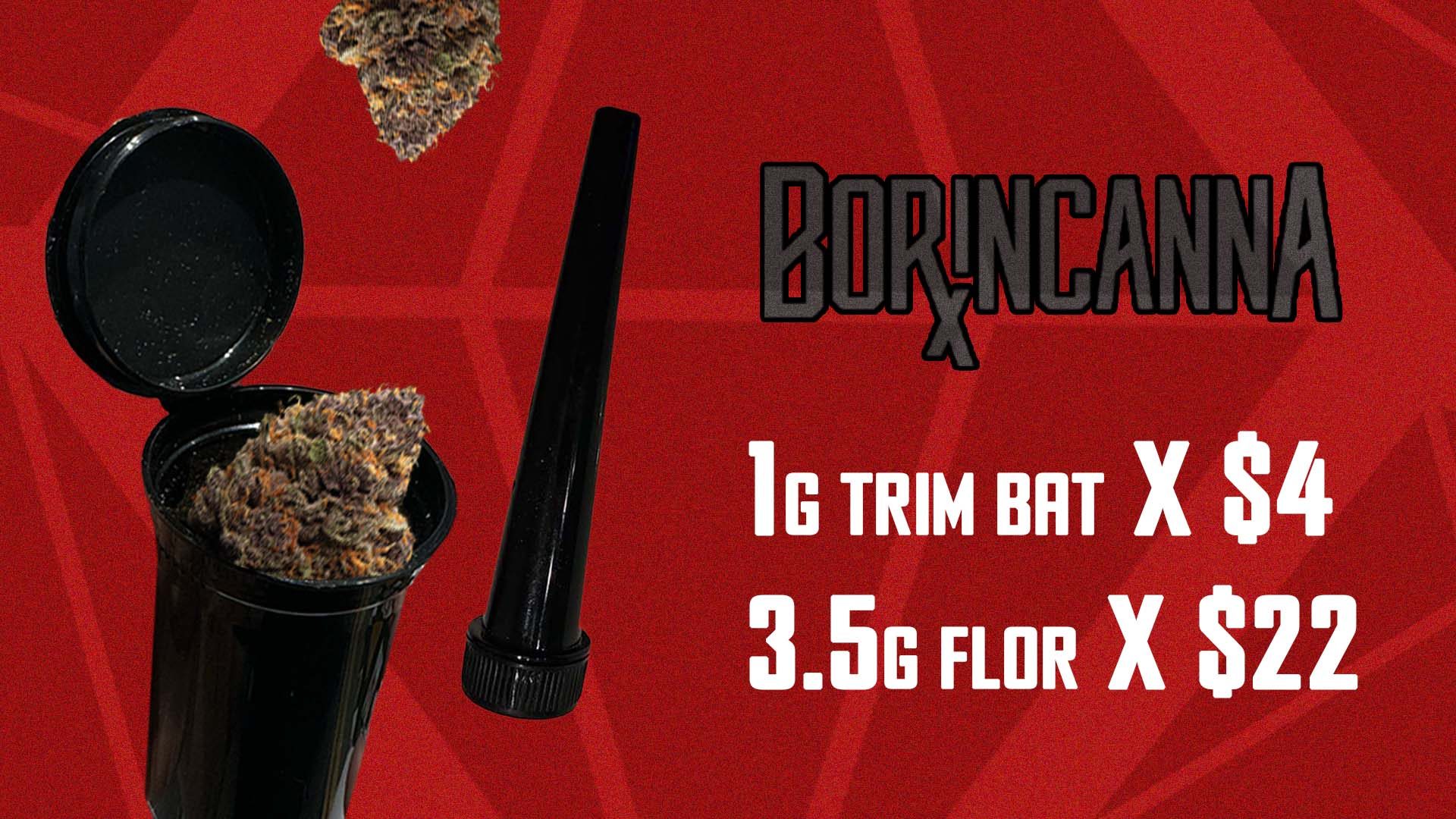 borincanna price web