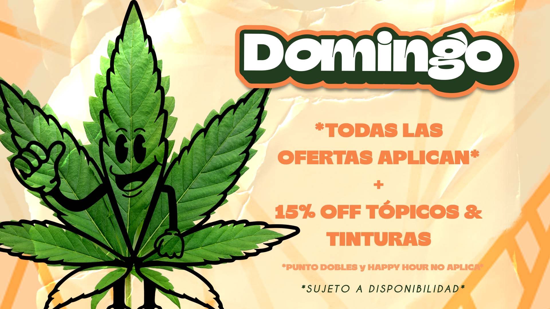 domingo NOV 25 WEB