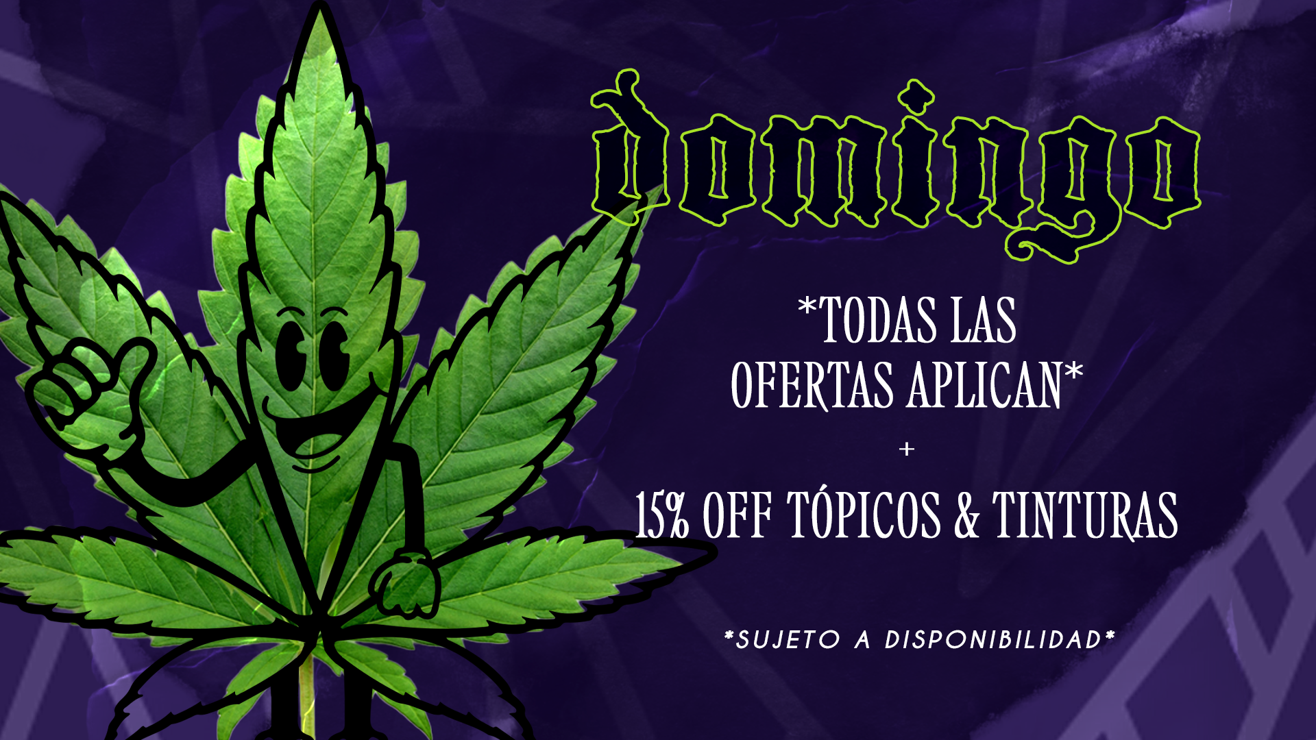 domingo OCT 25 WEB