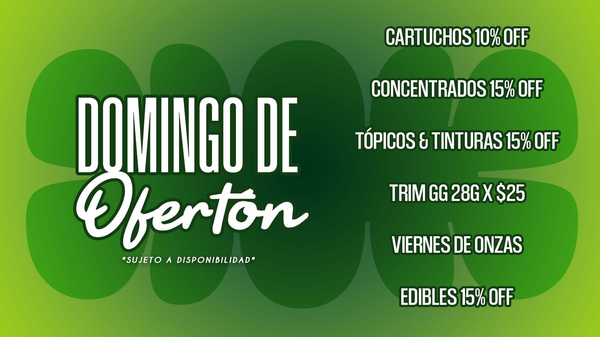 domingo web agosto