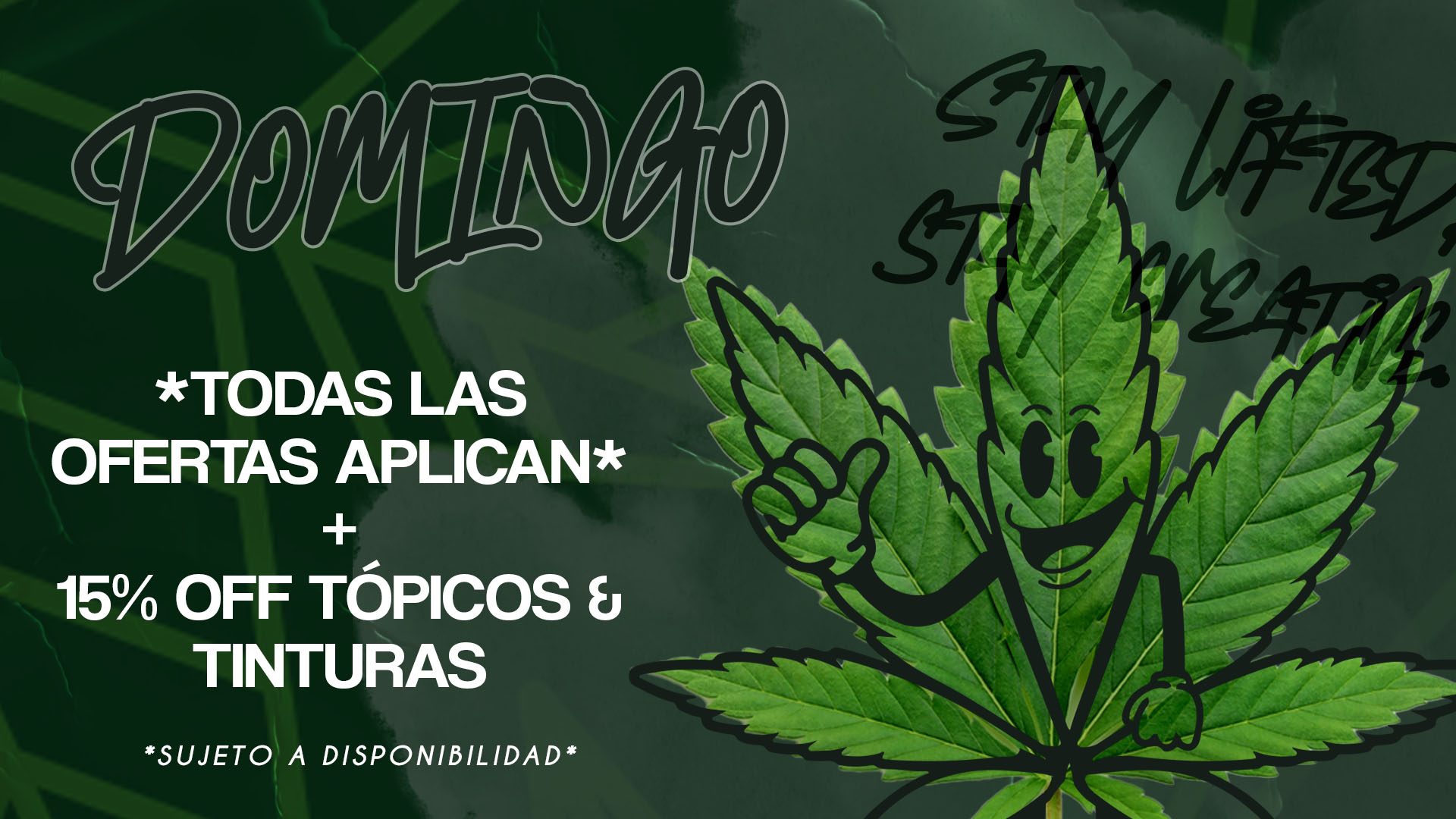 domingo web gg