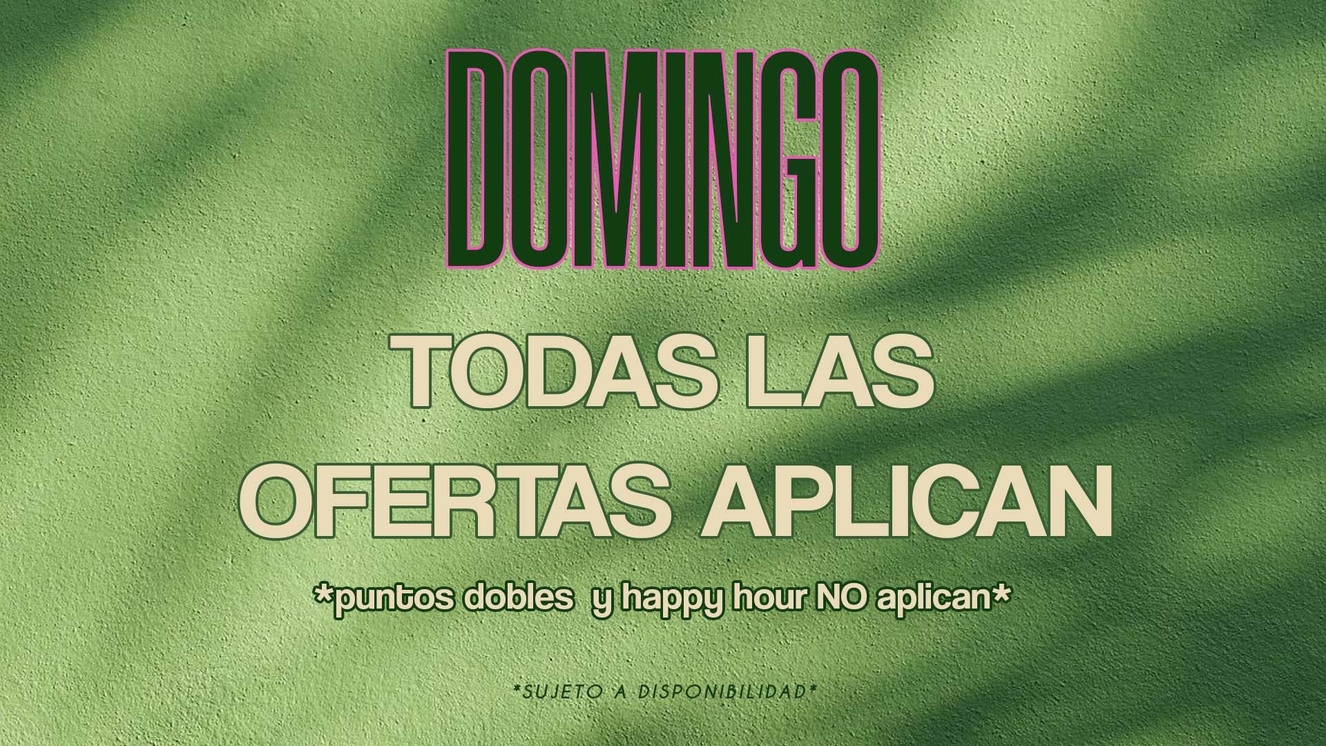 domingo web