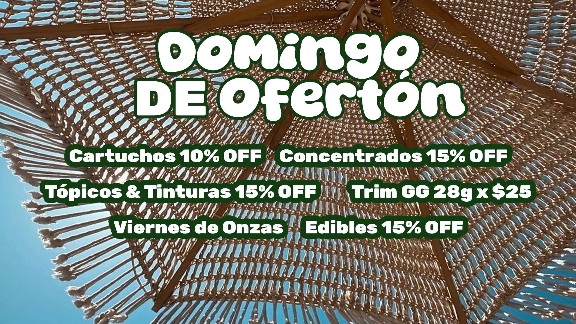 domingo web verano 26