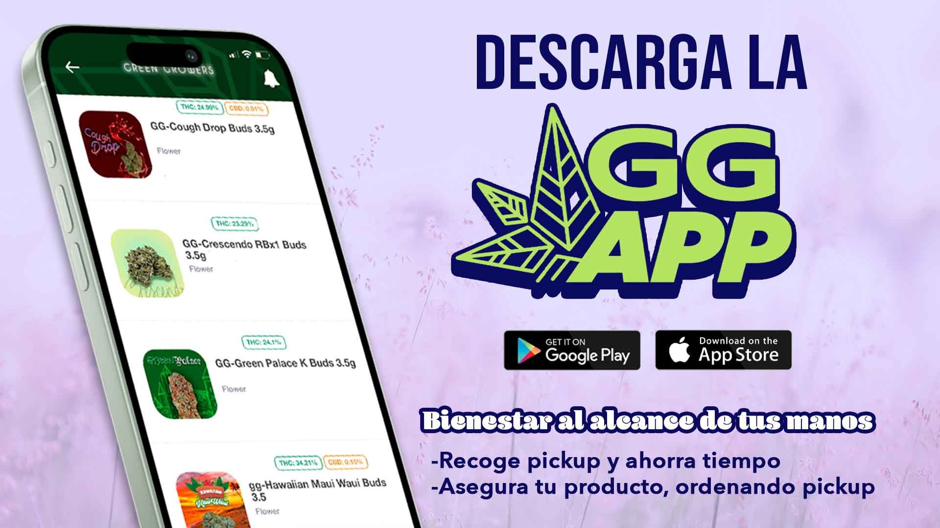 gg app marzo web 25