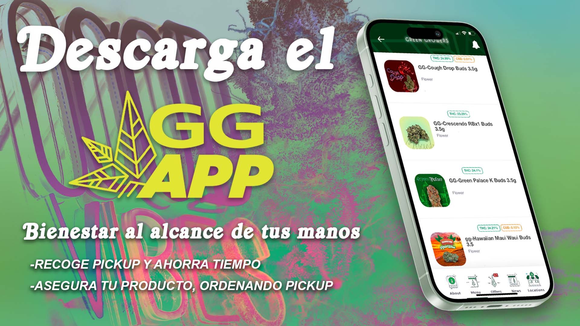 gg app web abril