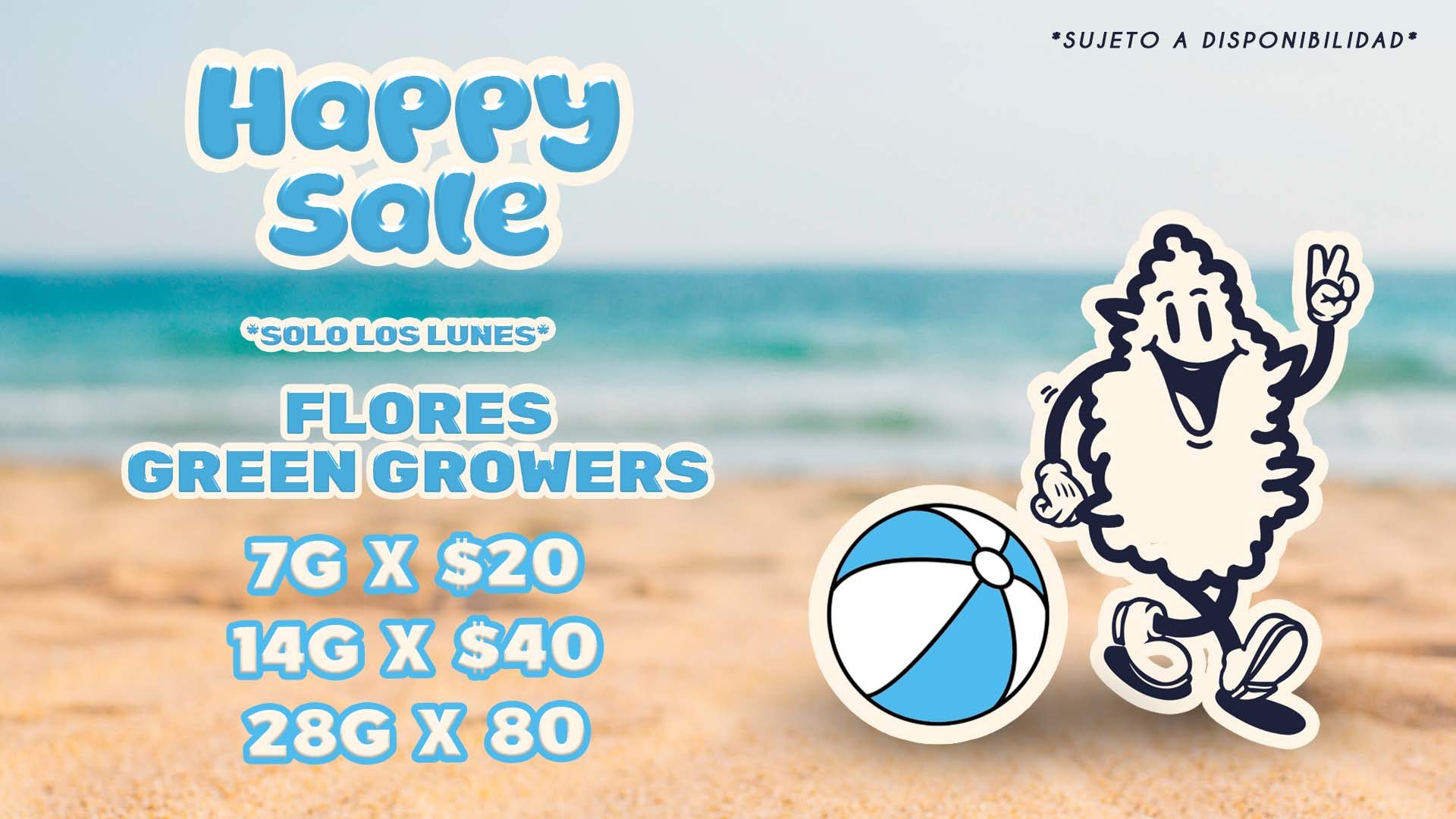 happy sale web verano 26