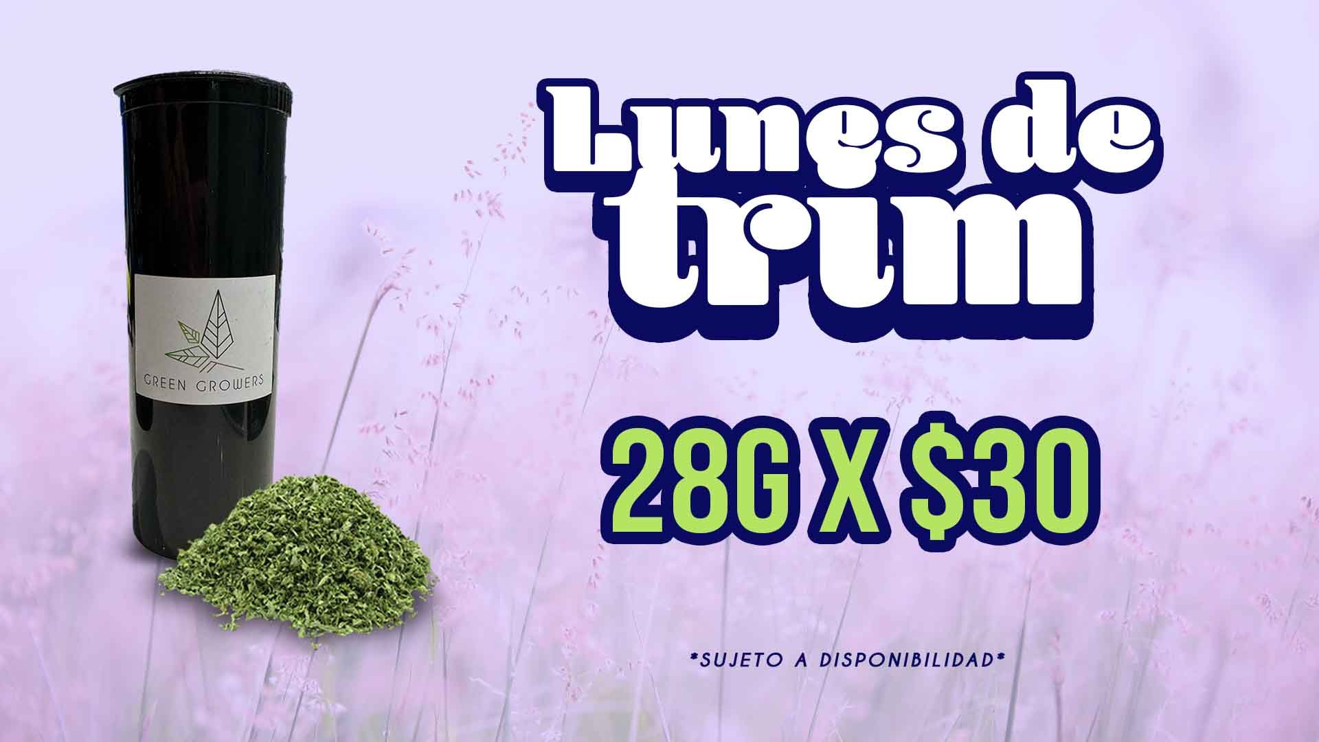 lunes marzo web 25