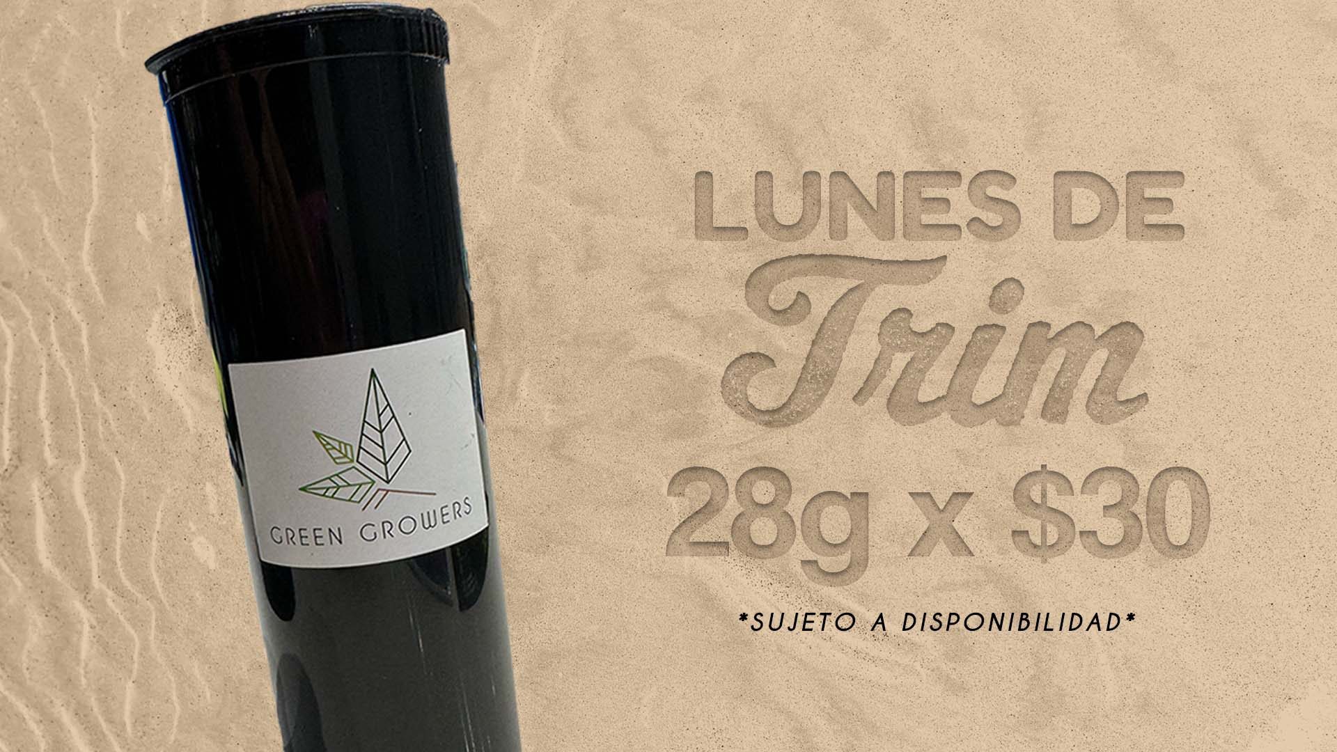 lunes verano web