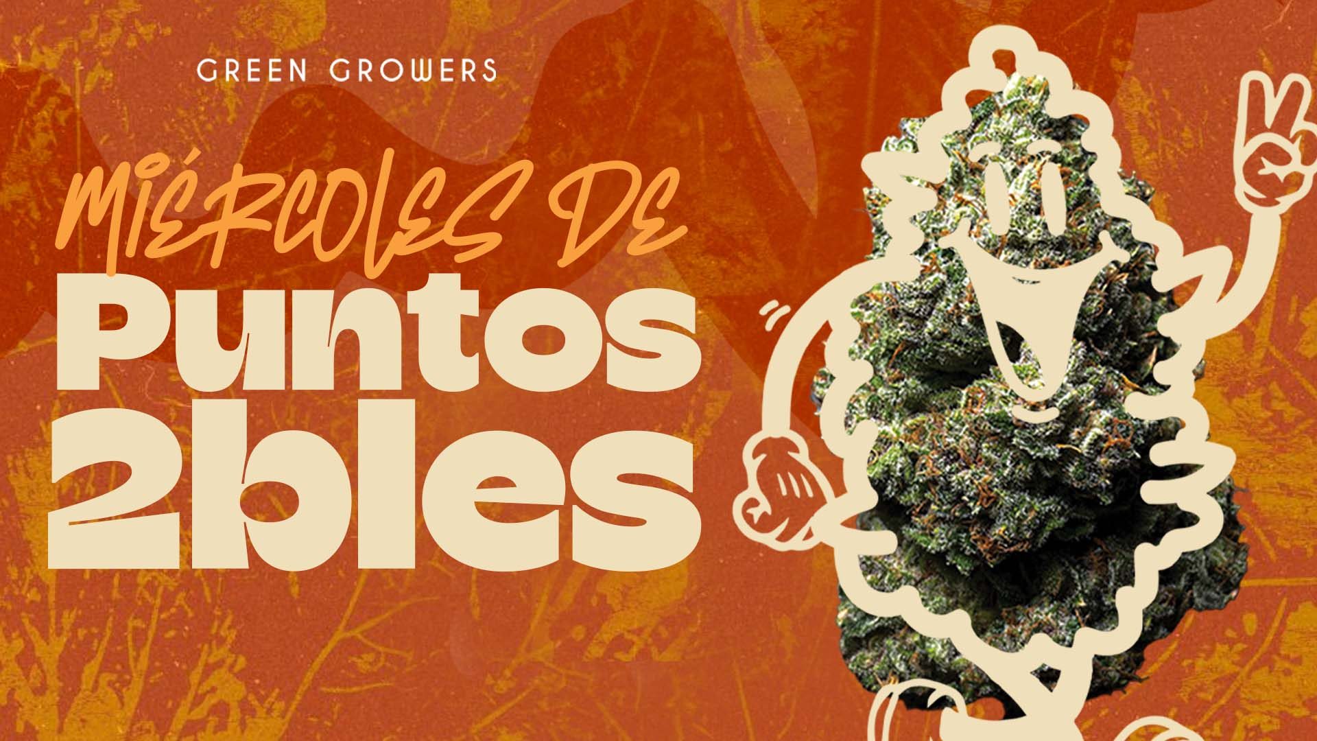 miércoles NOV 25 WEB