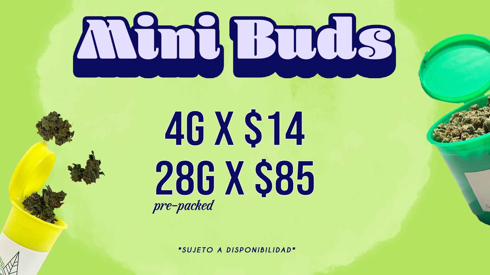 mini buds marzo web 25