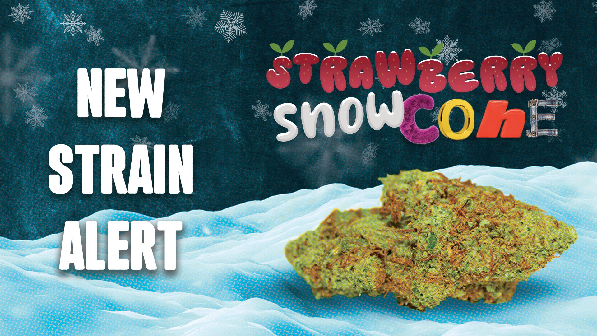 new strain alert strawbery sc