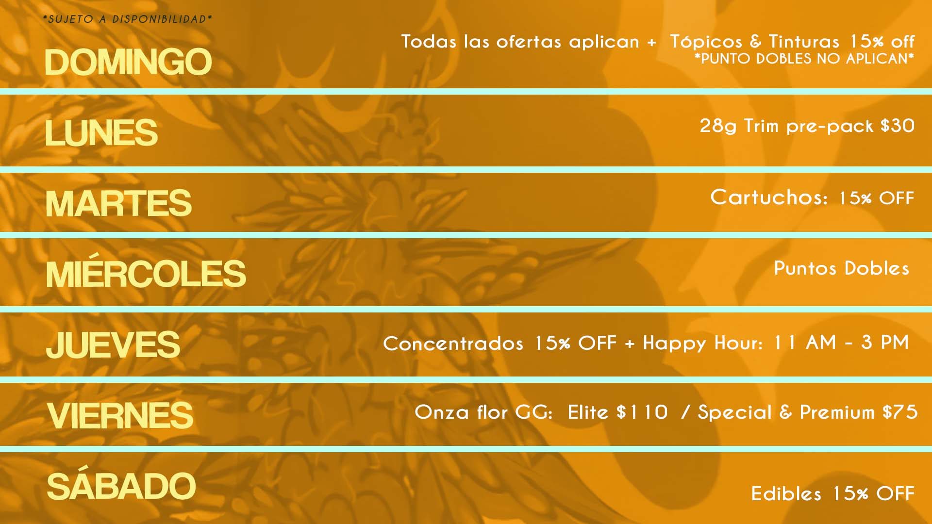 ofertas diarias verano web