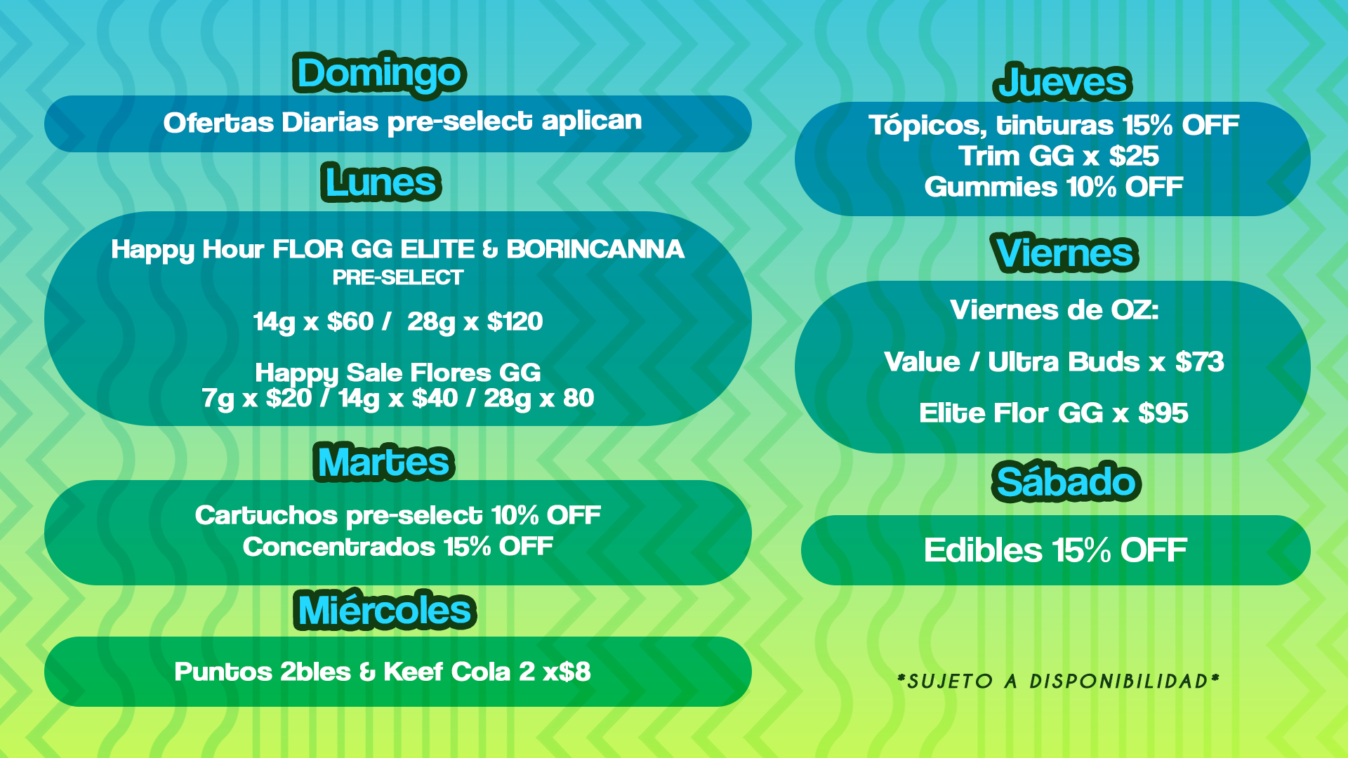 ofertas diarias web agosto