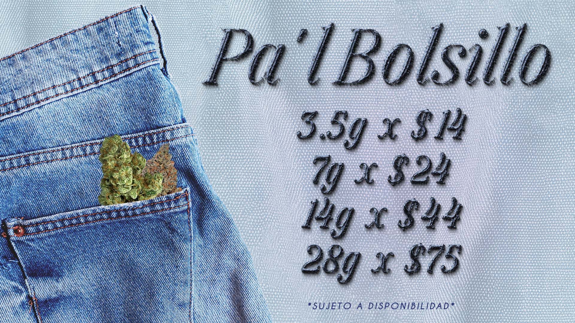 pa'l bolsillo SV 25 WEB