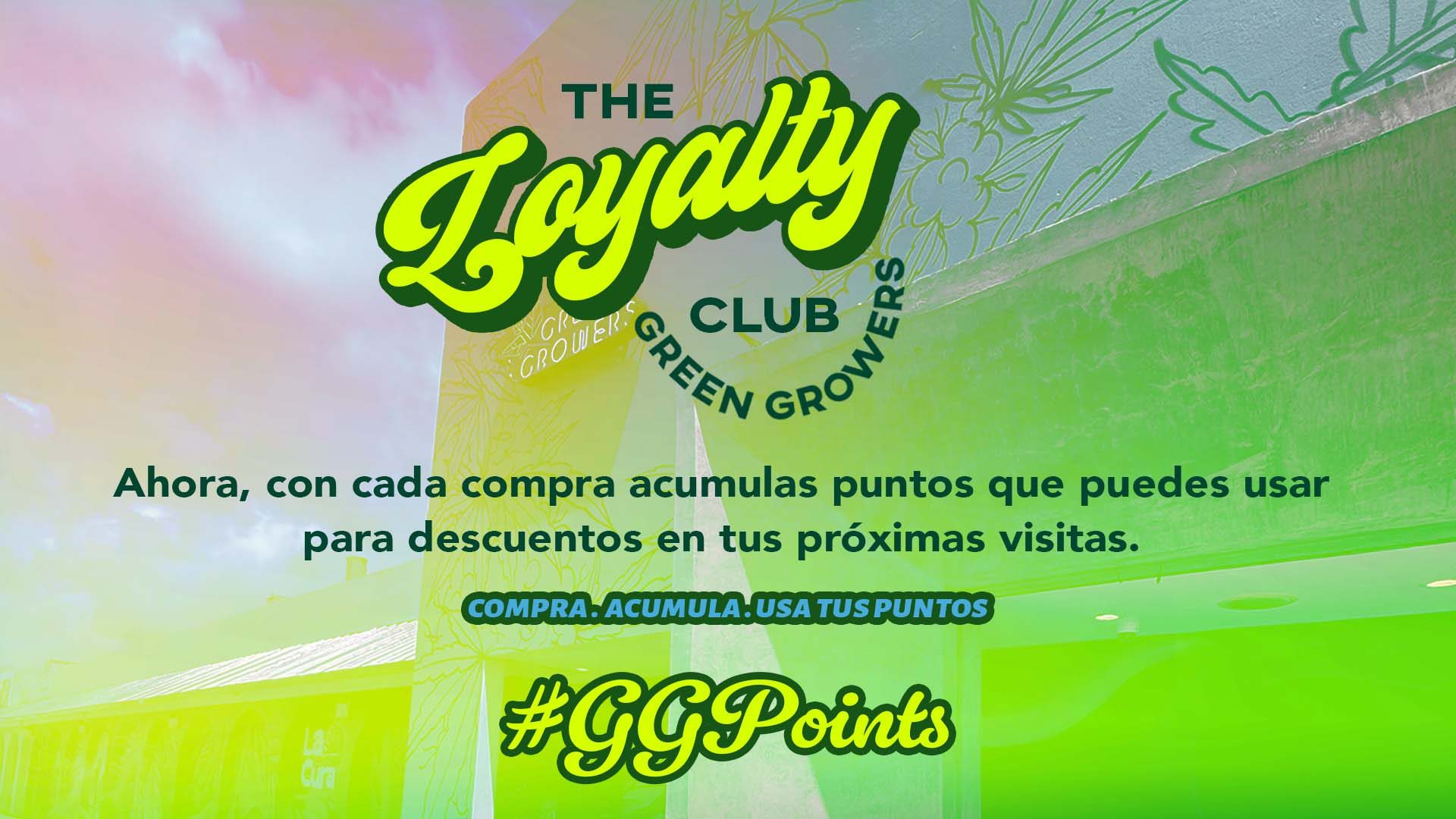 points web agosto