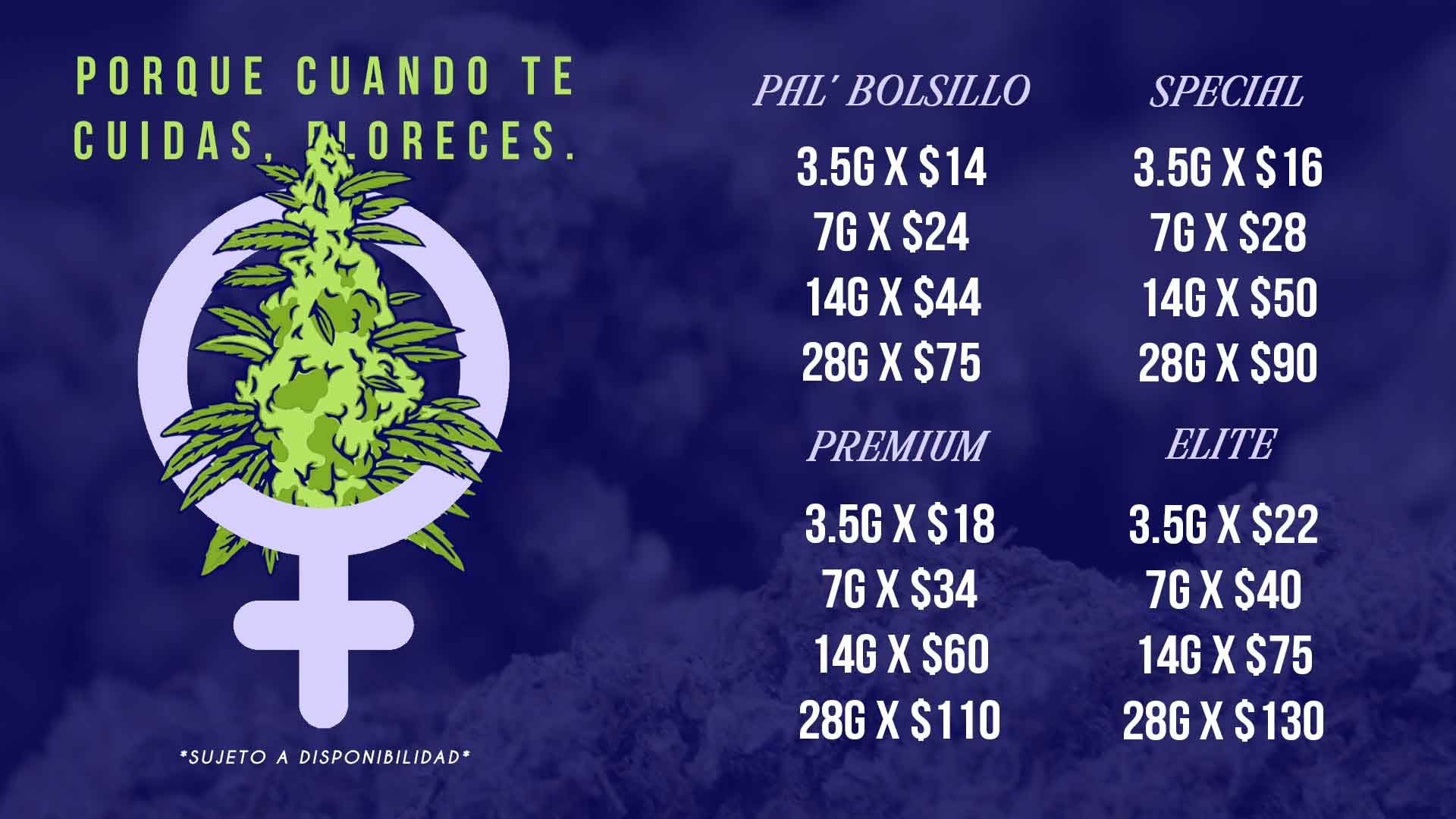 priceline marzo web 25