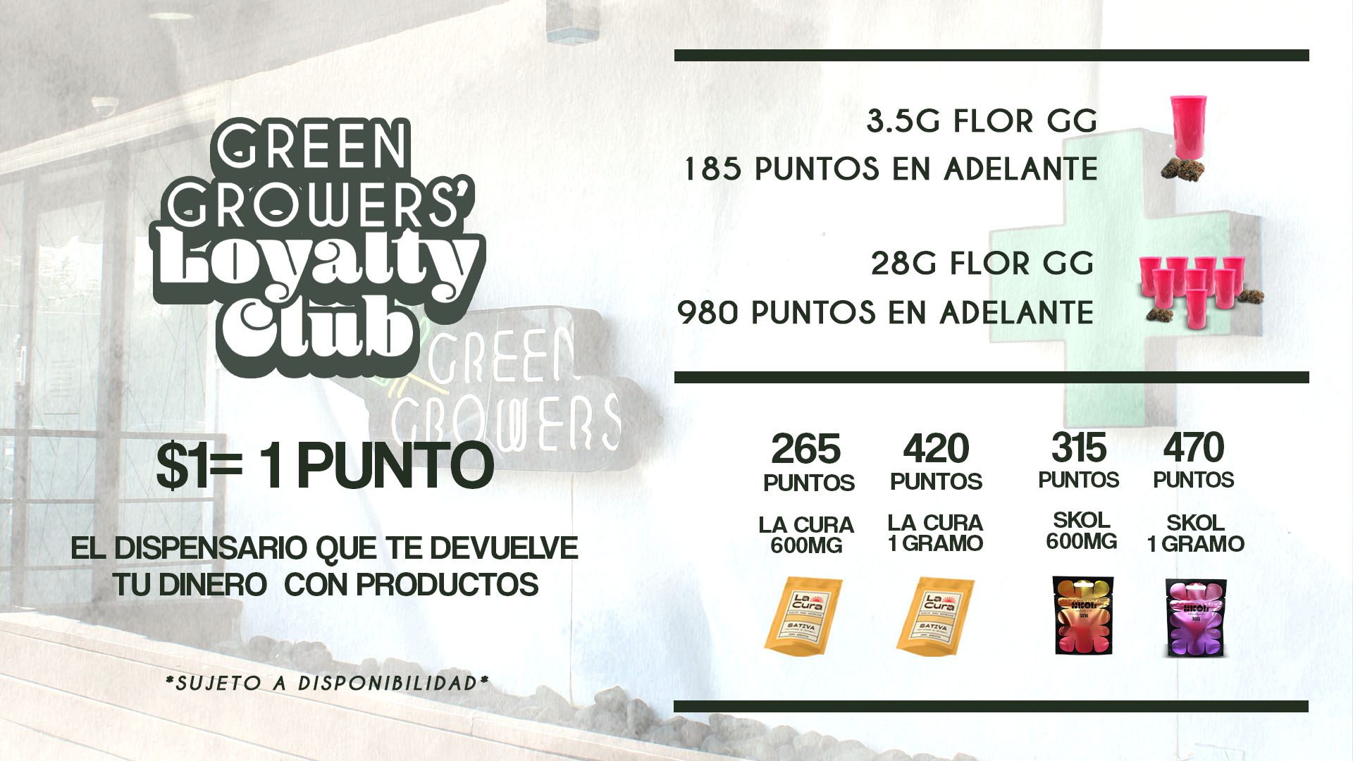 puntos gg web