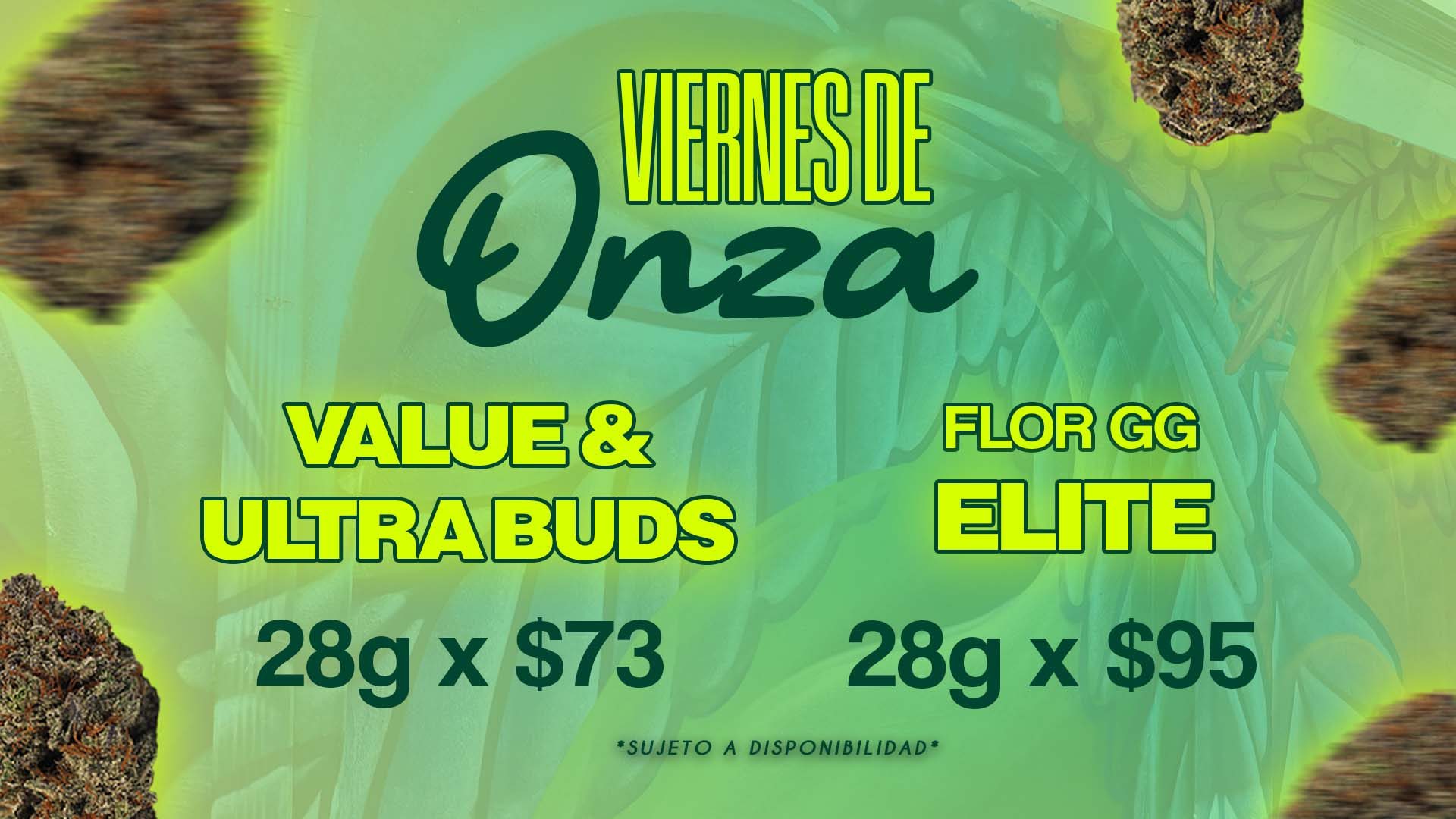 viernes web agosto